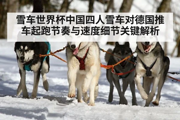 雪车世界杯中国四人雪车对德国推车起跑节奏与速度细节关键解析